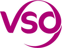 VSO International Logo